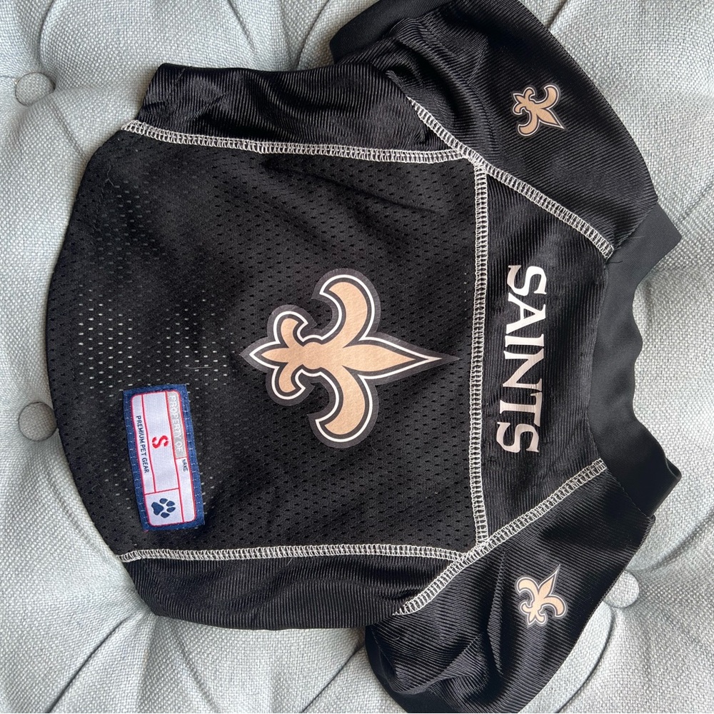 13. Saints Pet Jersey